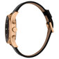 Vyriškas laikrodis Esprit ES1G209L0045 цена и информация | Vyriški laikrodžiai | pigu.lt