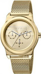 Laikrodis moterims Esprit ES1L004M0045 kaina ir informacija | Moteriški laikrodžiai | pigu.lt