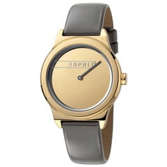 Женские часы Esprit ES1L019L0035 цена и информация | Женские часы | pigu.lt