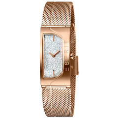 Moteriškas laikrodis Esprit ES1L045M0225 kaina ir informacija | Moteriški laikrodžiai | pigu.lt