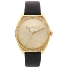 Moteriškas laikrodis Esprit ES1L057L0025 kaina ir informacija | Moteriški laikrodžiai | pigu.lt