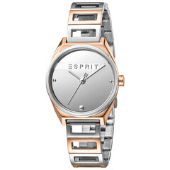 Moteriškas laikrodis Esprit ES1L058M0055 kaina ir informacija | Moteriški laikrodžiai | pigu.lt