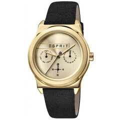 Женские часы Esprit ES1L077L0025 цена и информация | Женские часы | pigu.lt