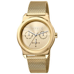 Moteriškas laikrodis Esprit ES1L077M0055 kaina ir informacija | Moteriški laikrodžiai | pigu.lt