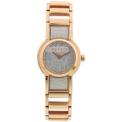 Moteriškas laikrodis Esprit ES1L084M0035 kaina ir informacija | Moteriški laikrodžiai | pigu.lt