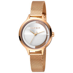Moteriškas laikrodis Esprit ES1L088M0035 kaina ir informacija | Moteriški laikrodžiai | pigu.lt