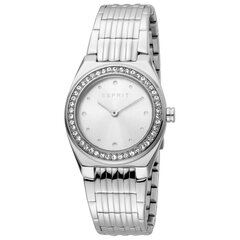 Moteriškas laikrodis Esprit ES1L148M0045 kaina ir informacija | Moteriški laikrodžiai | pigu.lt