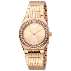 Moteriškas laikrodis Esprit ES1L148M0075 kaina ir informacija | Moteriški laikrodžiai | pigu.lt