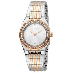 Moteriškas laikrodis Esprit ES1L148M0095 kaina ir informacija | Moteriški laikrodžiai | pigu.lt