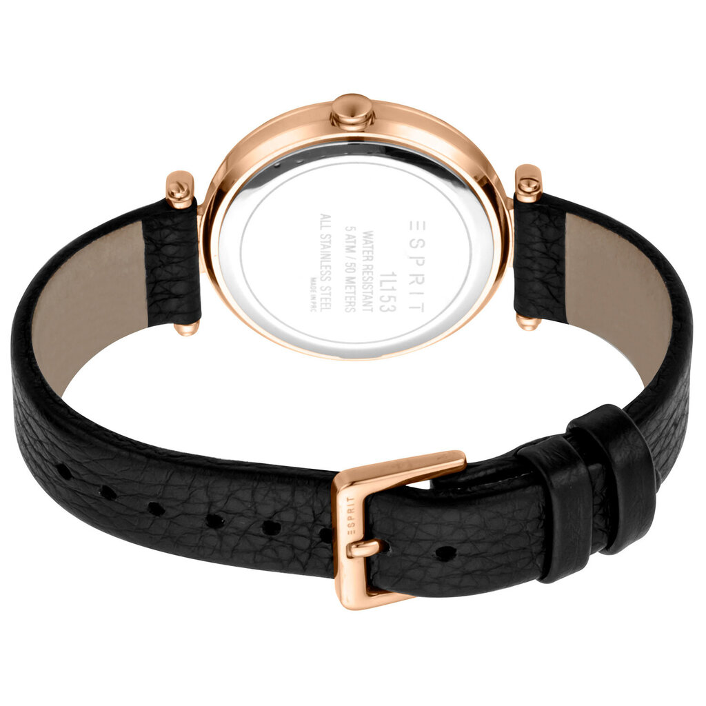Moteriškas laikrodis Esprit ES1L153L2025 kaina ir informacija | Moteriški laikrodžiai | pigu.lt