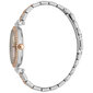Moteriškas laikrodis Esprit ES1L153M2065 kaina ir informacija | Moteriški laikrodžiai | pigu.lt