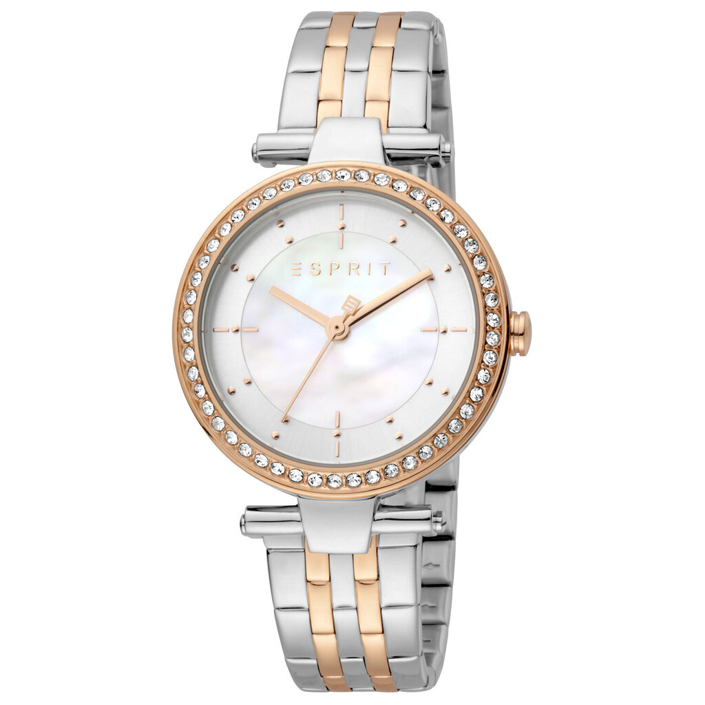 Moteriškas laikrodis Esprit ES1L153M2065 kaina ir informacija | Moteriški laikrodžiai | pigu.lt
