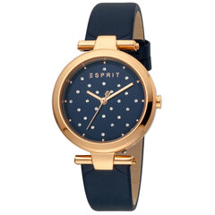 Moteriškas laikrodis Esprit ES1L167L0055 kaina ir informacija | Moteriški laikrodžiai | pigu.lt