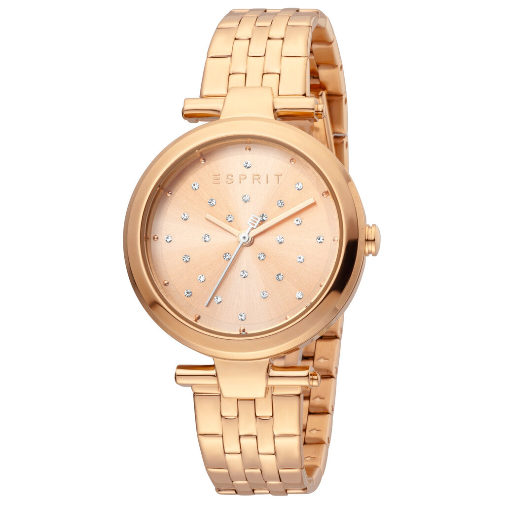 Moteriškas laikrodis Esprit ES1L167M0095 kaina ir informacija | Moteriški laikrodžiai | pigu.lt