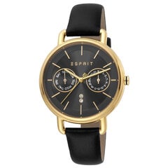 Moteriškas laikrodis Esprit ES1L179L0045 kaina ir informacija | Moteriški laikrodžiai | pigu.lt