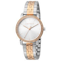 Moteriškas laikrodis Esprit ES1L183M2095 kaina ir informacija | Moteriški laikrodžiai | pigu.lt