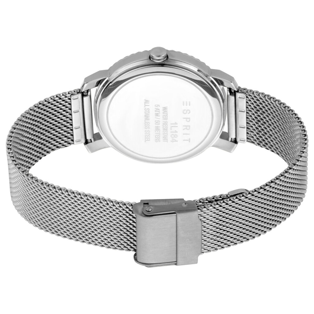 Moteriškas laikrodis Esprit ES1L184M0015 kaina ir informacija | Moteriški laikrodžiai | pigu.lt