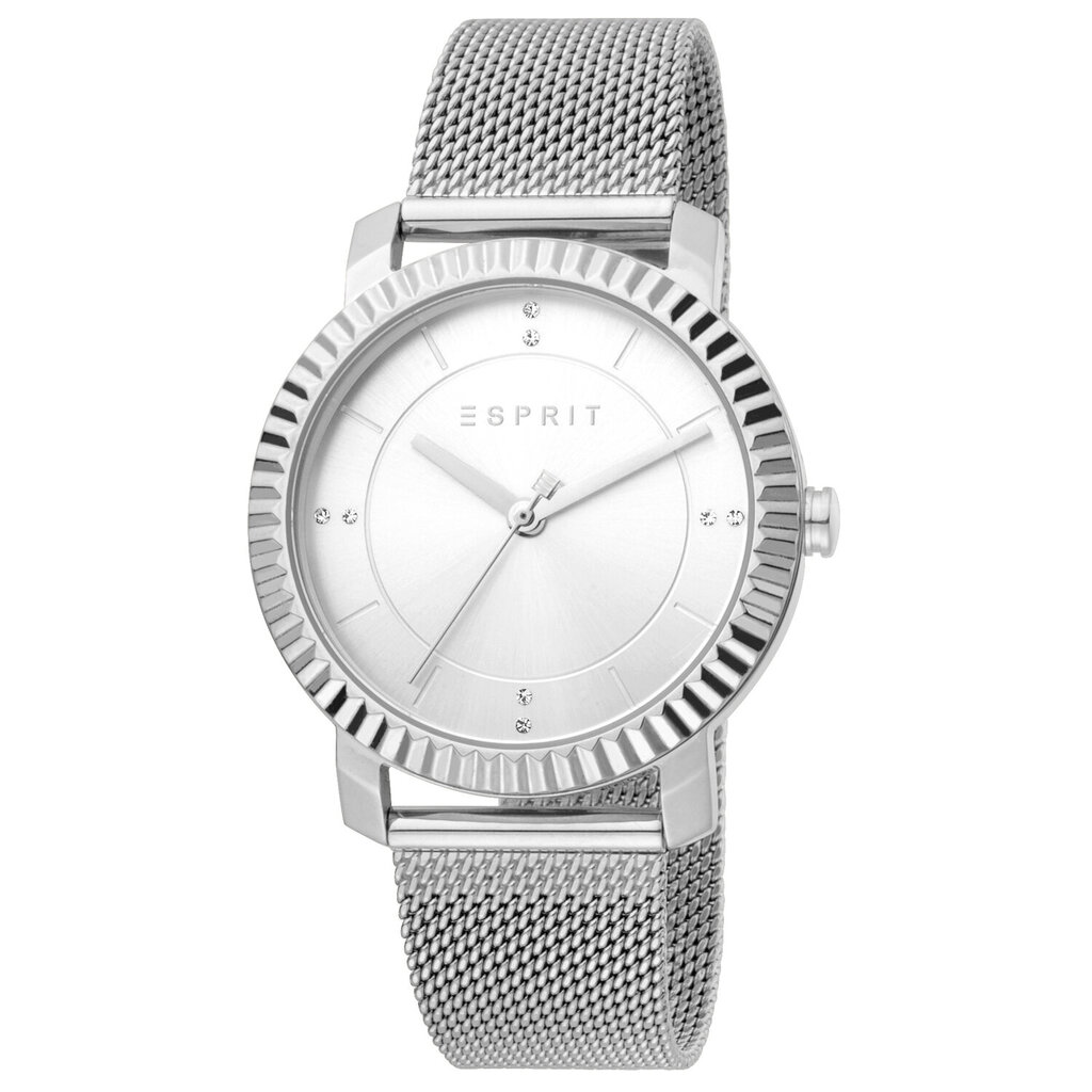 Moteriškas laikrodis Esprit ES1L184M0015 kaina ir informacija | Moteriški laikrodžiai | pigu.lt