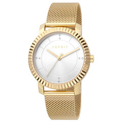Moteriškas laikrodis Esprit ES1L184M0025 kaina ir informacija | Moteriški laikrodžiai | pigu.lt