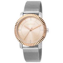 Moteriškas laikrodis Esprit ES1L184M0055 kaina ir informacija | Moteriški laikrodžiai | pigu.lt