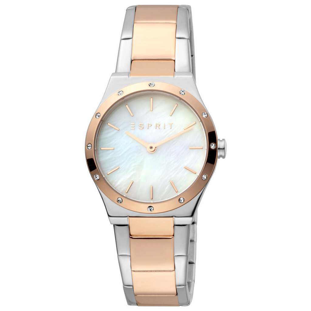 Moteriškas laikrodis Esprit ES1L191M1045 kaina ir informacija | Moteriški laikrodžiai | pigu.lt
