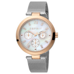 Moteriškas laikrodis Esprit ES1L213M1035 kaina ir informacija | Moteriški laikrodžiai | pigu.lt