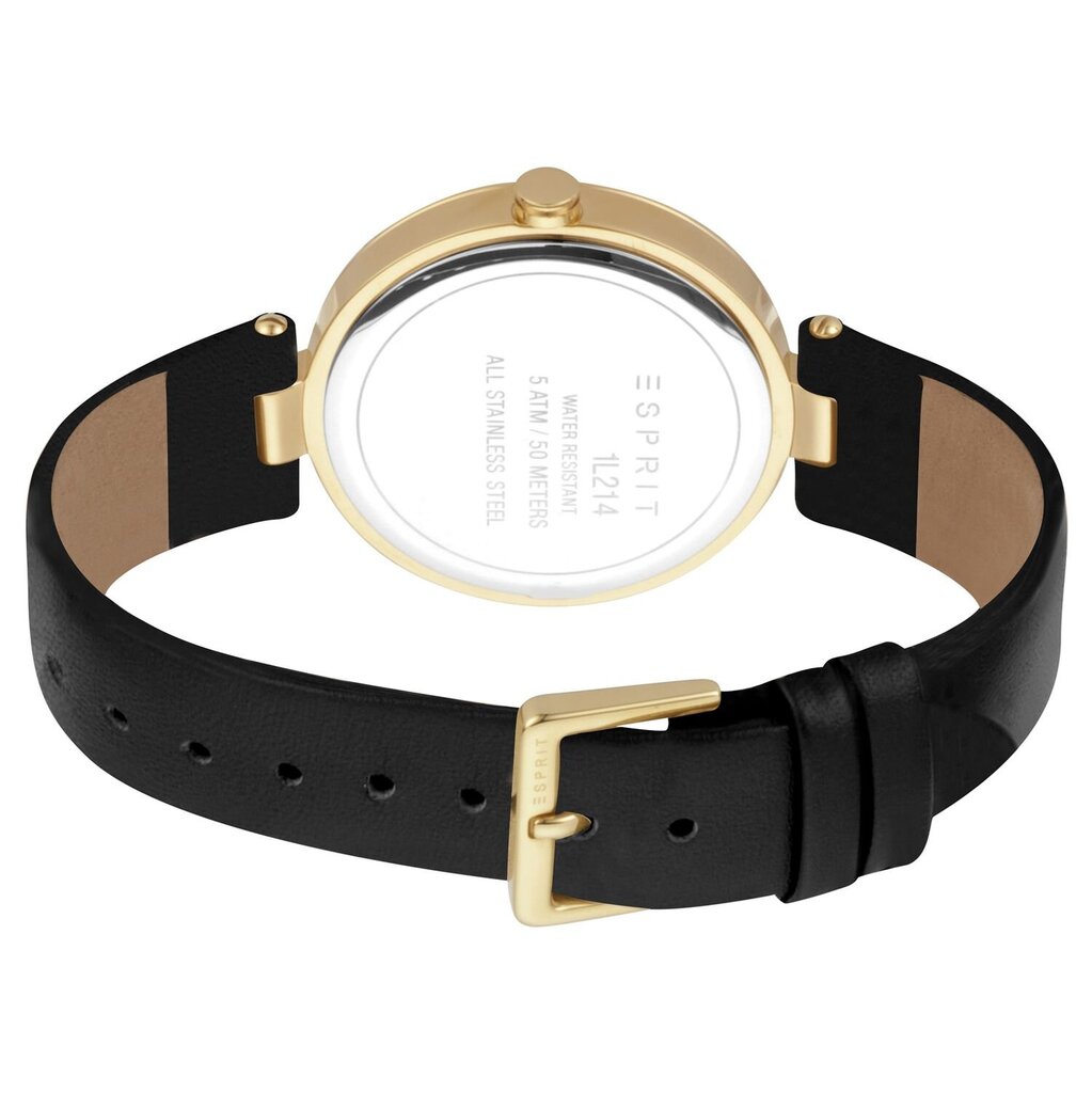 Moteriškas laikrodis Esprit ES1L214L0025 kaina ir informacija | Moteriški laikrodžiai | pigu.lt