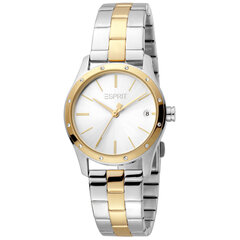 Moteriškas laikrodis Esprit ES1L223M0095 kaina ir informacija | Moteriški laikrodžiai | pigu.lt