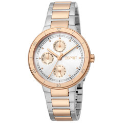 Moteriškas laikrodis Esprit ES1L226M0055 kaina ir informacija | Moteriški laikrodžiai | pigu.lt