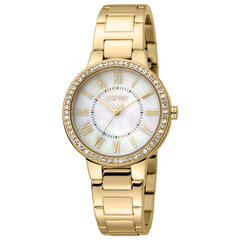 Moteriškas laikrodis Esprit ES1L228M1035 kaina ir informacija | Moteriški laikrodžiai | pigu.lt