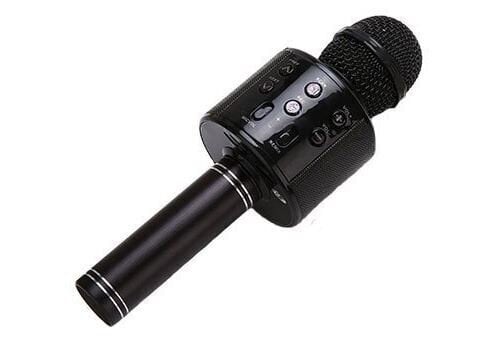 Karaoke mikrofonas su garsiakalbiu цена и информация | Žaislai mergaitėms | pigu.lt