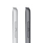 Apple iPad 10.2" Wi-Fi 256GB - Silver 9th Gen MK2P3 kaina ir informacija | Planšetiniai kompiuteriai | pigu.lt