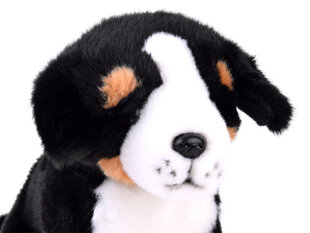 Плюшевая игрушка - Бернская горная собака, 20 см цена и информация | Мягкие игрушки | pigu.lt