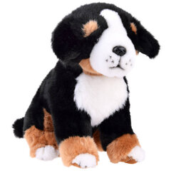 Плюшевая игрушка - Бернская горная собака, 20 см цена и информация | Мягкие игрушки | pigu.lt