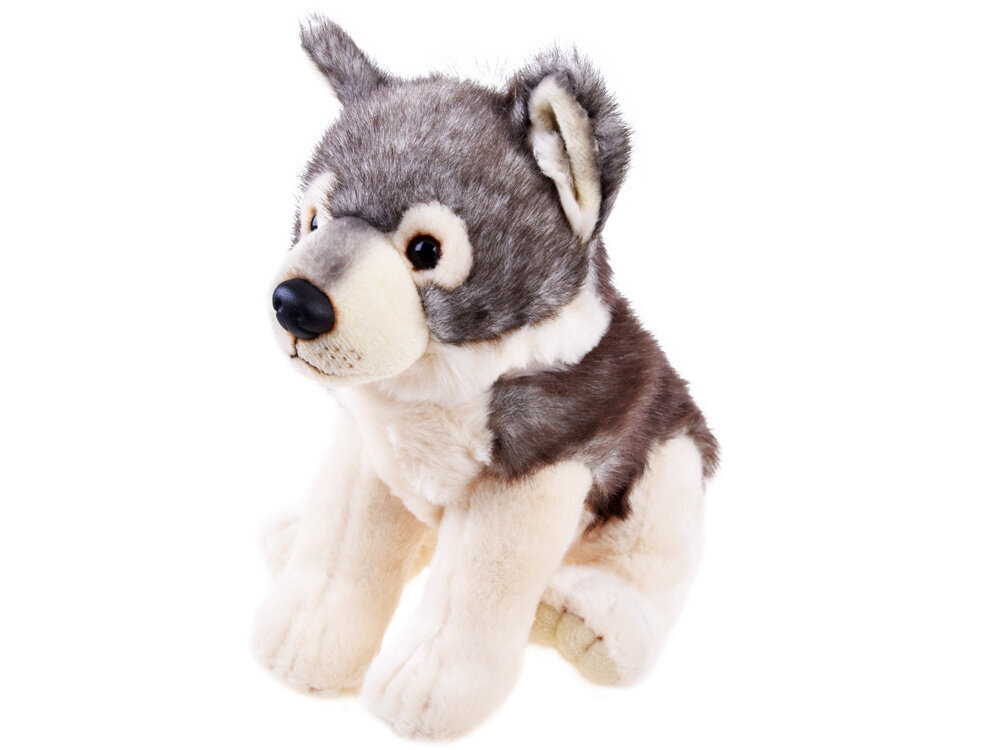 Pliušinis vilkas, 23 cm kaina ir informacija | Minkšti (pliušiniai) žaislai | pigu.lt