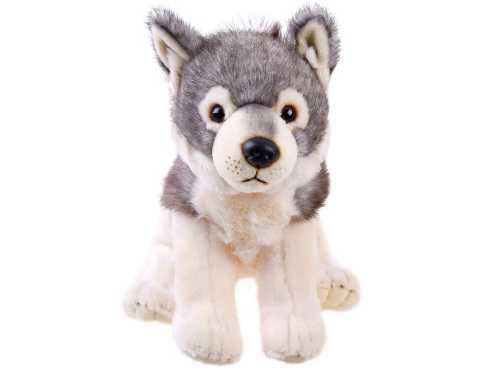 Pliušinis vilkas, 23 cm kaina ir informacija | Minkšti (pliušiniai) žaislai | pigu.lt