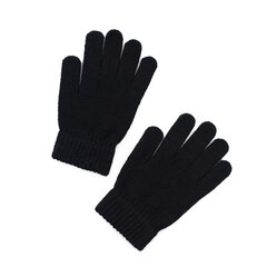 Перчатки PR16423J PR16423J цена и информация | Мужские шарфы, шапки, перчатки | pigu.lt