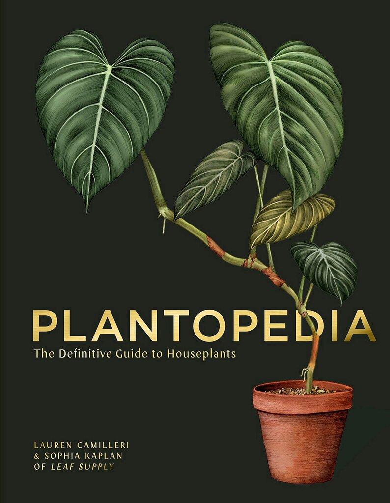 Plantopedia: The Definitive Guide to House Plants цена и информация | Romanai | pigu.lt