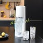 SodaStream Terra White kaina ir informacija | Gazuoto vandens aparatai ir priedai | pigu.lt