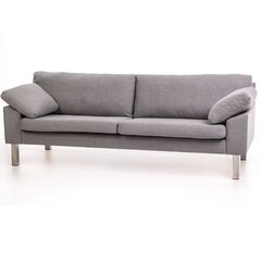 Sofa Fiona 2.5S, pilka kaina ir informacija | Sofos | pigu.lt