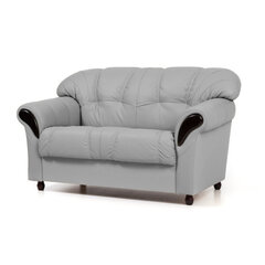 Sofa Rosa 2S, pilka/juoda kaina ir informacija | Sofos | pigu.lt