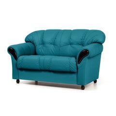 Sofa Rosa 2S, mėlyna/juoda kaina ir informacija | Sofos | pigu.lt