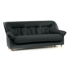 Sofa Spencer 3, juoda kaina ir informacija | Sofos | pigu.lt