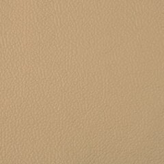 Sofa-lova Aleksandra 3S, smėlio spalvos/ruda kaina ir informacija | Sofos | pigu.lt