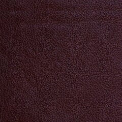 Диван-кровать Aleksandra 3S, темно красный/коричневый цена и информация | Диваны | pigu.lt