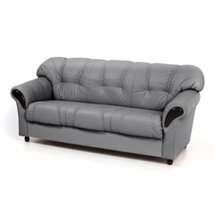 Sofa-lova Rosa 3S, šviesiai pilka/juoda kaina ir informacija | Sofos | pigu.lt