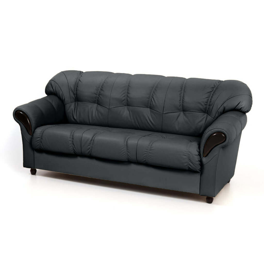 Sofa-lova Rosa 3S, juoda цена и информация | Sofos | pigu.lt