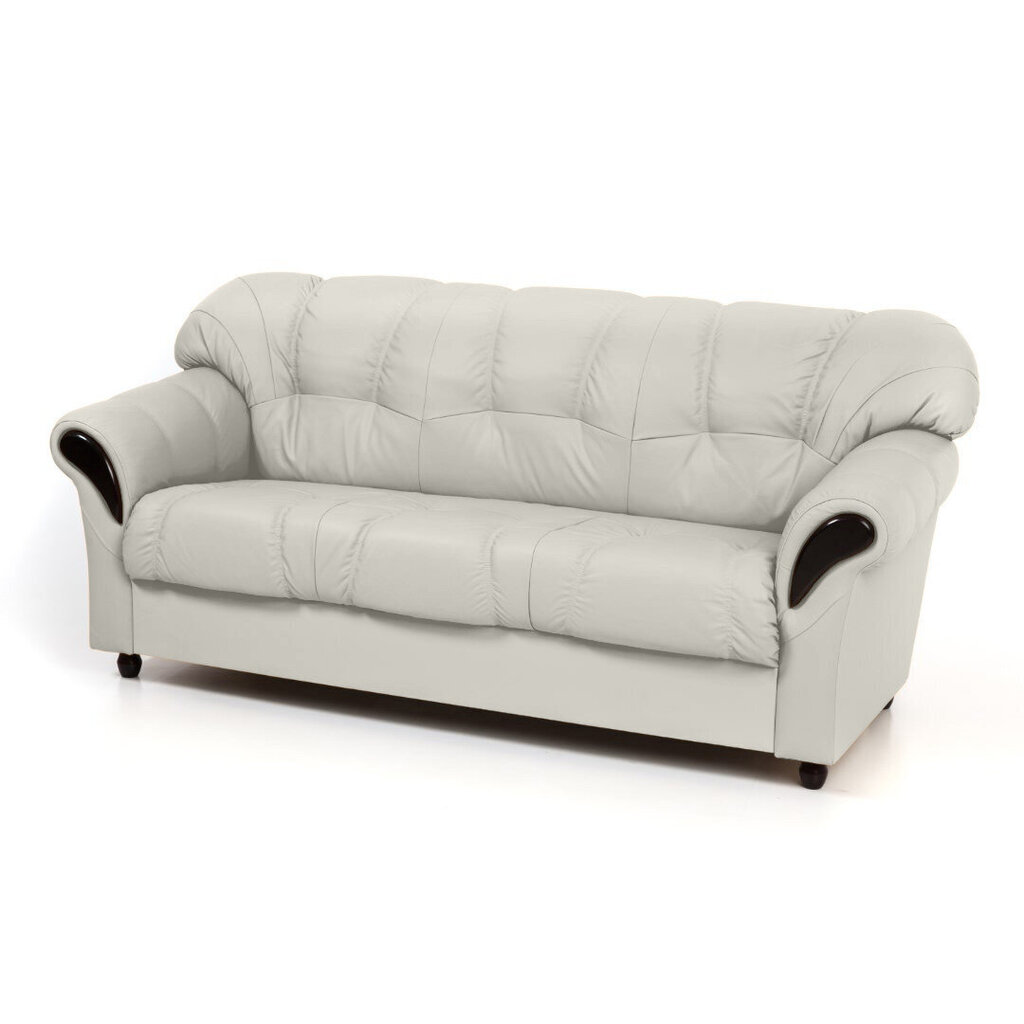 Sofa-lova Rosa 3S N, balta/juoda kaina ir informacija | Sofos | pigu.lt
