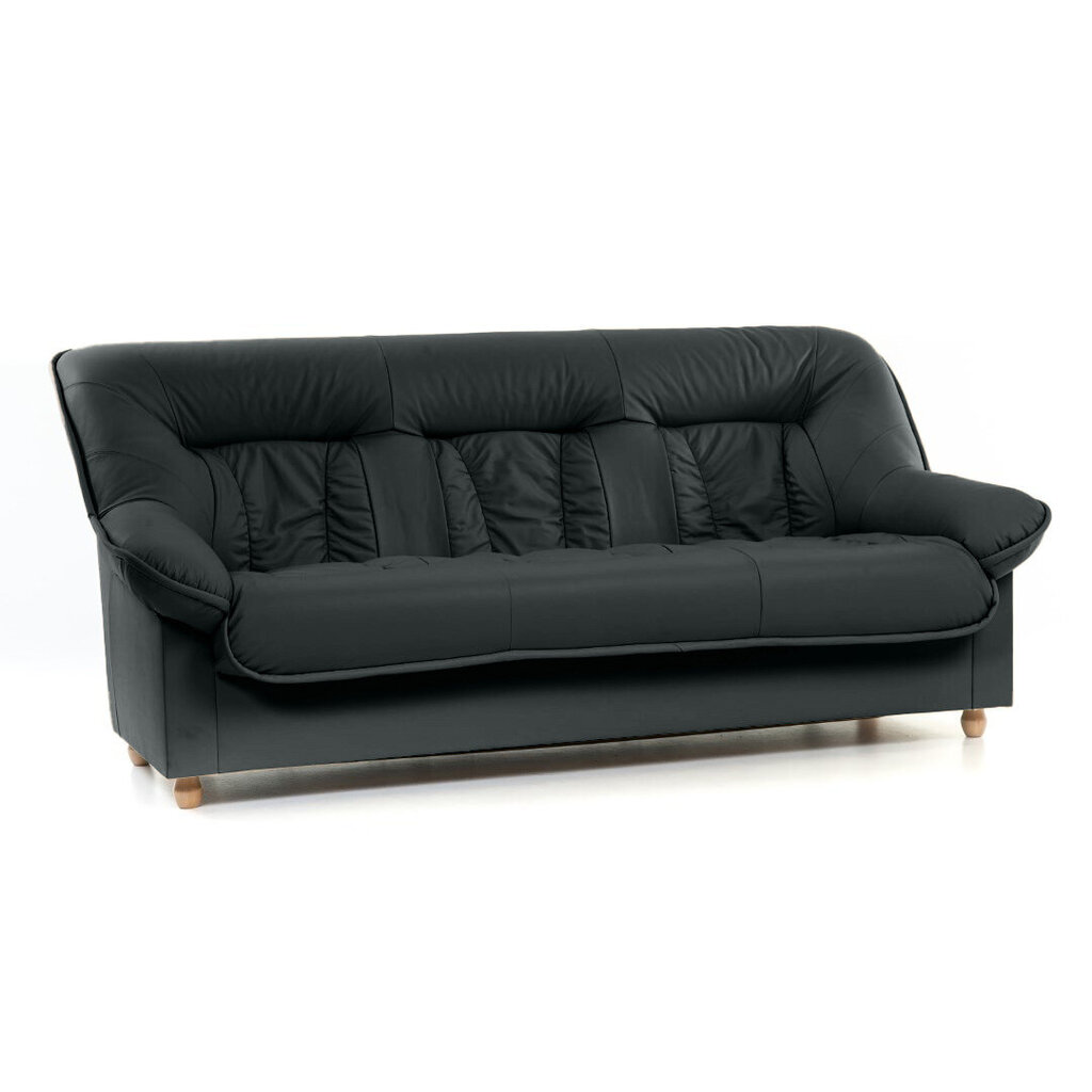 Sofa-lova Spencer 3K, juoda kaina ir informacija | Sofos | pigu.lt