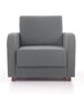 Išskleidžiamas fotelis Aada 1S, šviesiai pilkas kaina ir informacija | Svetainės foteliai | pigu.lt